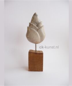 LENTE Beeld lente van kisii stone