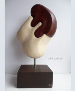 CONVENIT Beeld convenit van pierre de lens en paddoek hardhout