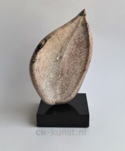 GUTTATIE I
