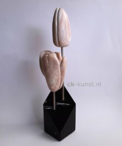 TULPEN DUO