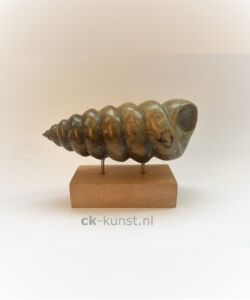 TURRITELLA