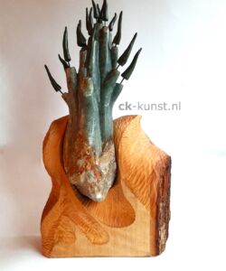 HOUT </br>
Uit thema; de 5 Chinese elementen